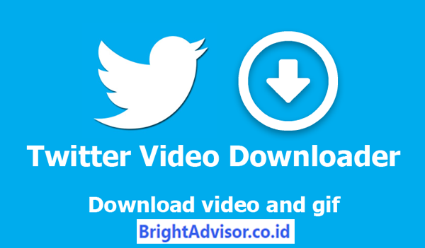 Download Video Twitter MP4